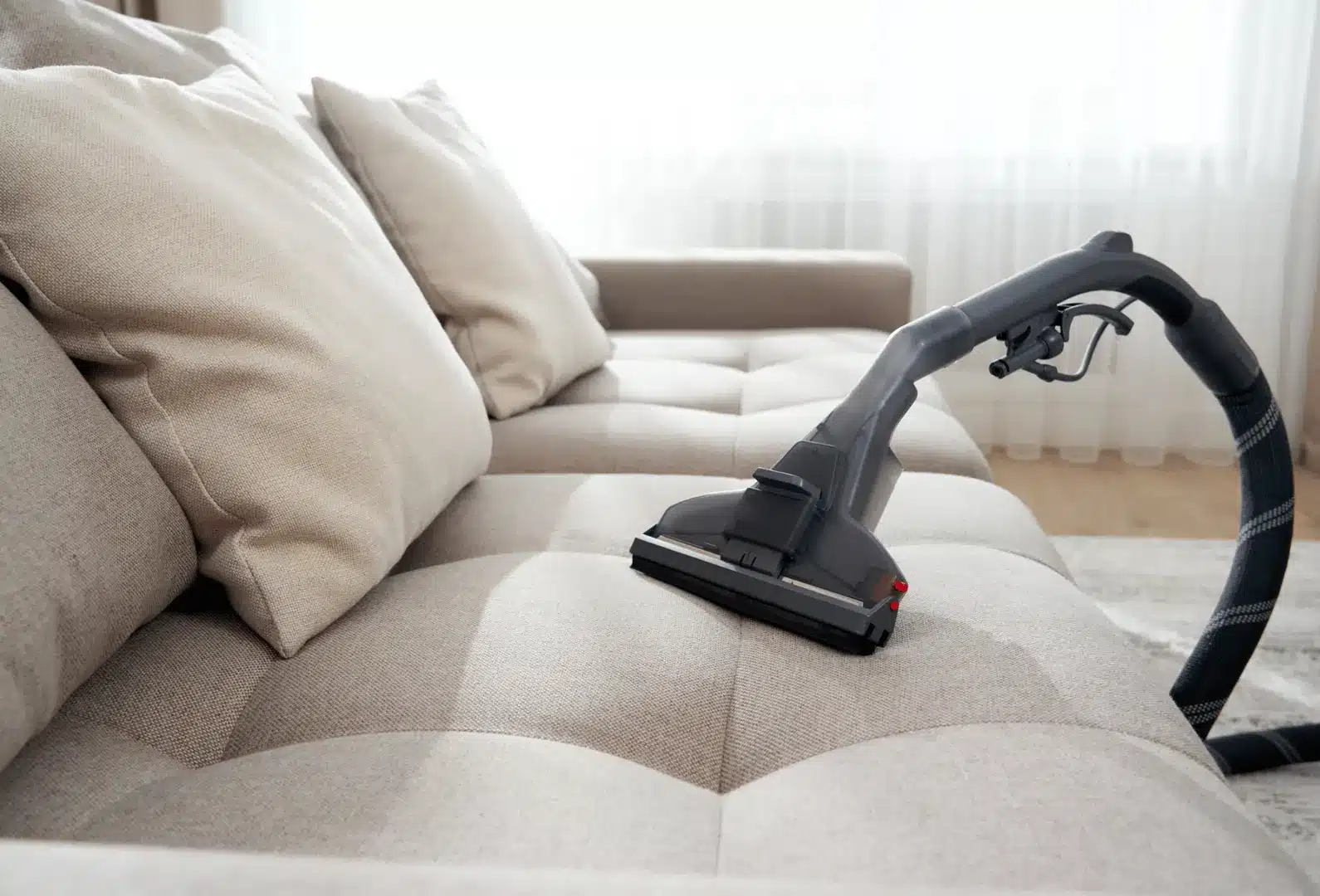 limpieza profesional en a coruña calidad profesionalidad